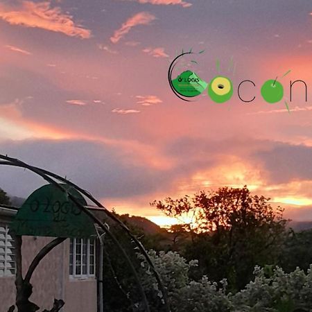 O Logis Du Morne Jacob "Coco", Le Morne-Rouge Martinique Daire Dış mekan fotoğraf