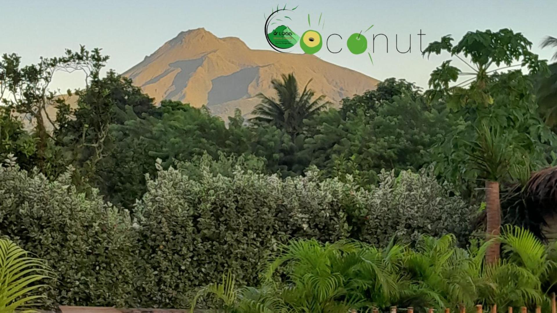 O Logis Du Morne Jacob "Coco", Le Morne-Rouge Martinique Daire Dış mekan fotoğraf